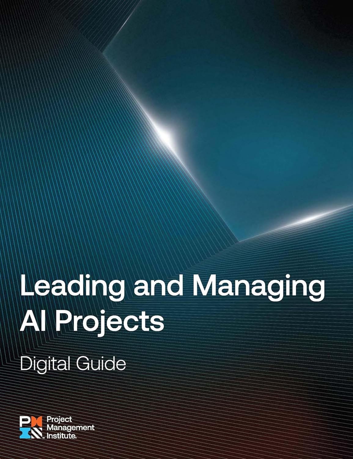 ler totalmente Leading and Managing AI Projects: Digital Guide (English Edition)