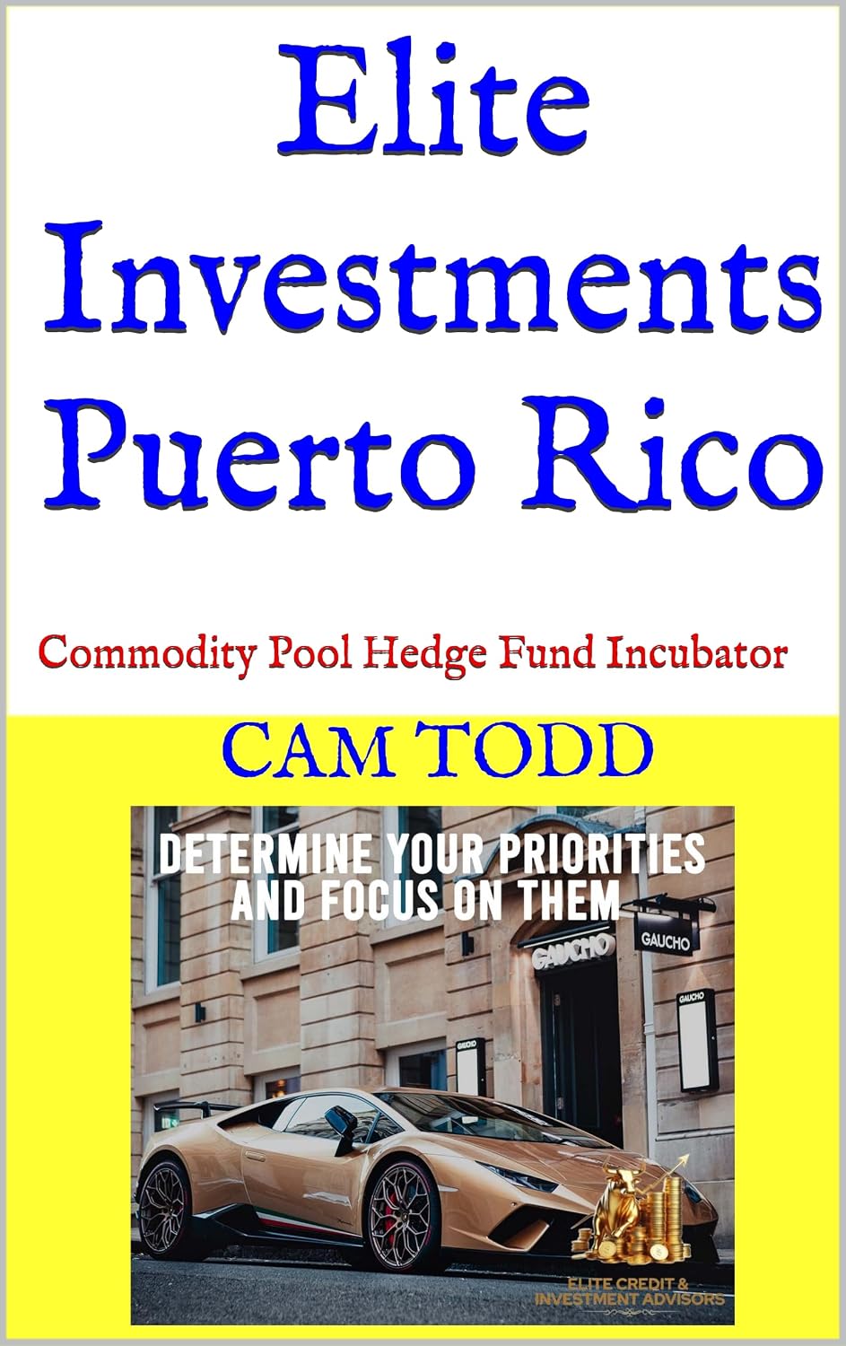 Elite Investments Puerto Rico: Commodity Pool Hedge Fund Incubator (English Edition) baixar livro de graça