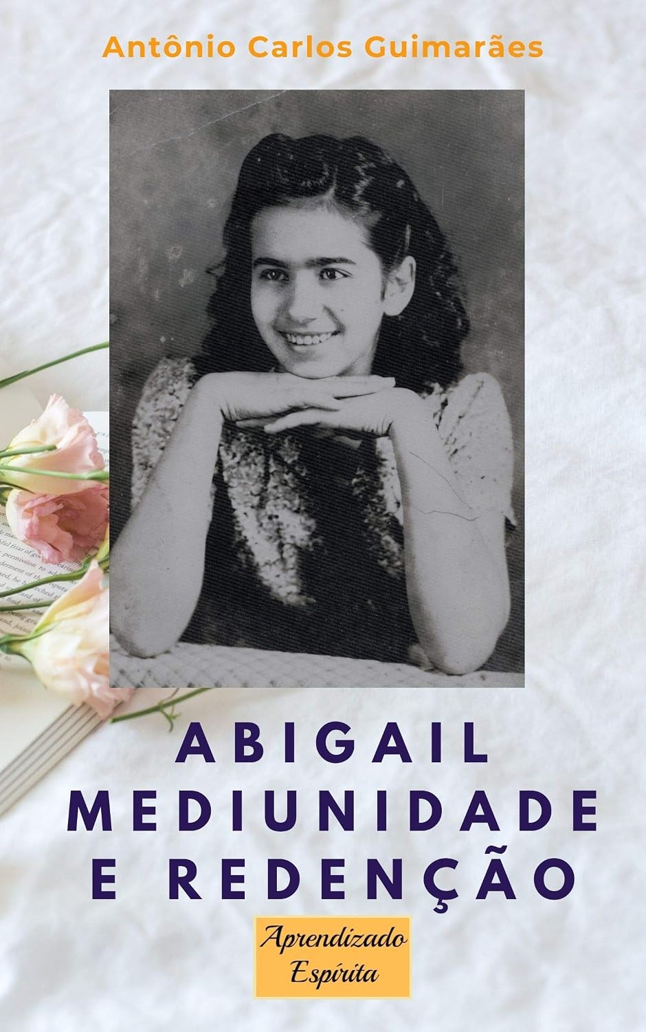 capítulo por capítulo baixar ABIGAIL Mediunidade e redenção: Uma menina obsidiada e a terapia espírita de cura