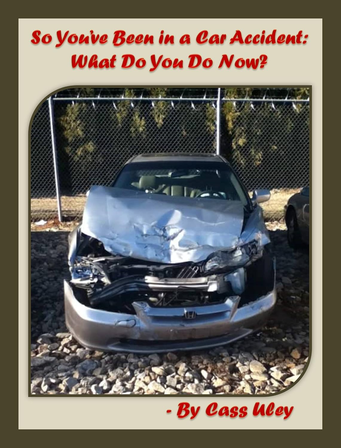 ler totalmente So You've Been in a Car Accident: What Do You Do Now? (English Edition)