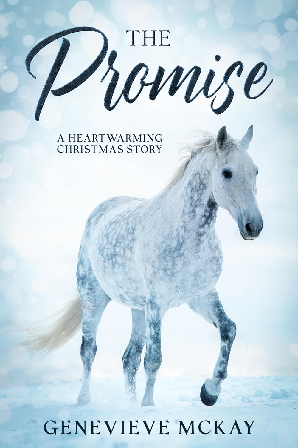 ler totalmente The Promise: A Half-Half Sisterhood Prequel. A Short Christmas Novella. (The Half-Halt Sisterhood) (English Edition)