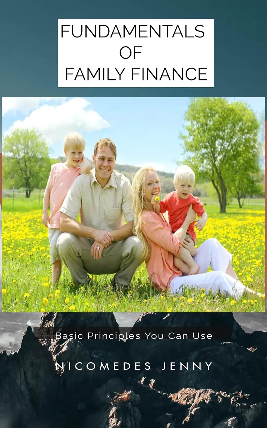 FAMILY BUDGET PLANNING: FAMILY BUDGET PLANNING (English Edition) baixar livro de graça