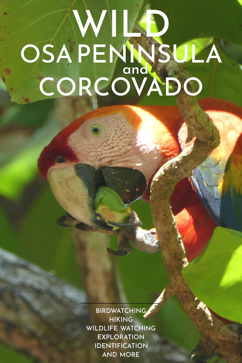 Wild Osa Peninsula and Corcovado: Birdwatching, hiking, wildlife watching, exploration, identification and more (English Edition) baixar livro de graça