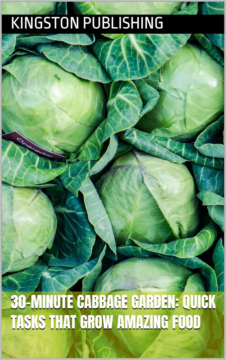 30-Minute Cabbage Garden: Quick Tasks That Grow Amazing Food (Homegrown Fruits and Vegetables) (English Edition) baixar o livro de graça