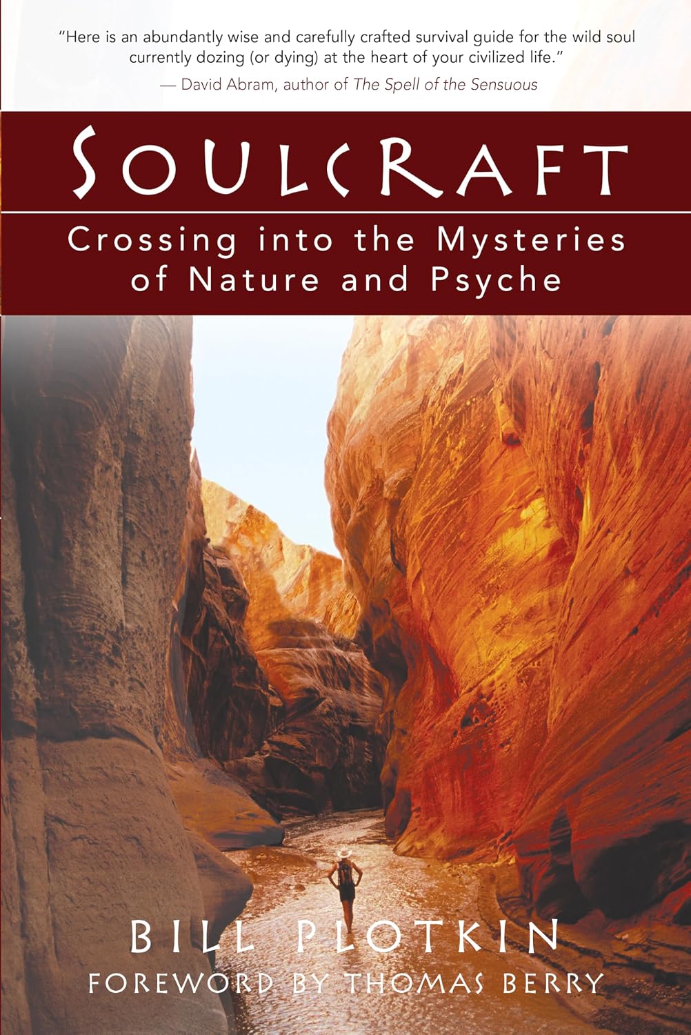 ler totalmente Soulcraft: Crossing Into the Mysteries of Nature and Psyche