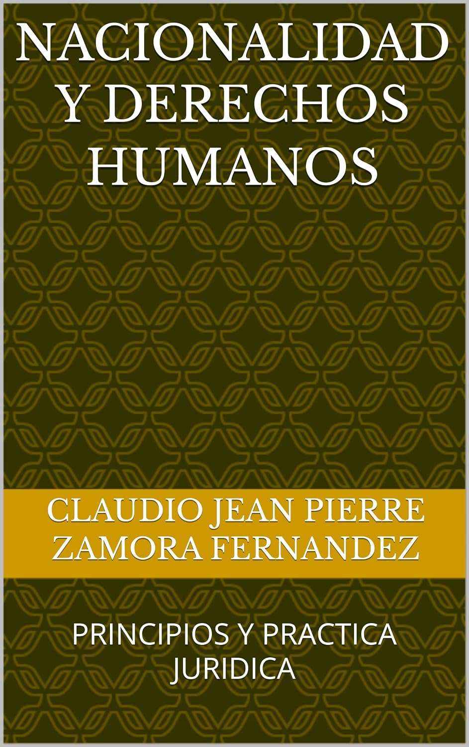 NACIONALIDAD Y DERECHOS HUMANOS: PRINCIPIOS Y PRACTICA JURIDICA (Spanish Edition) baixar livro de graça