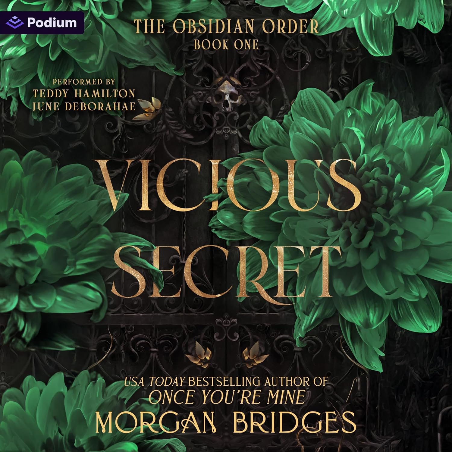 Vicious Secret: The Obsidian Order, Book 1 baixar o livro de graça