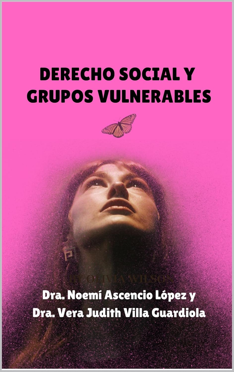 DERECHO SOCIAL Y GRUPOS VULNERABLES (Spanish Edition) baixar livro de graça