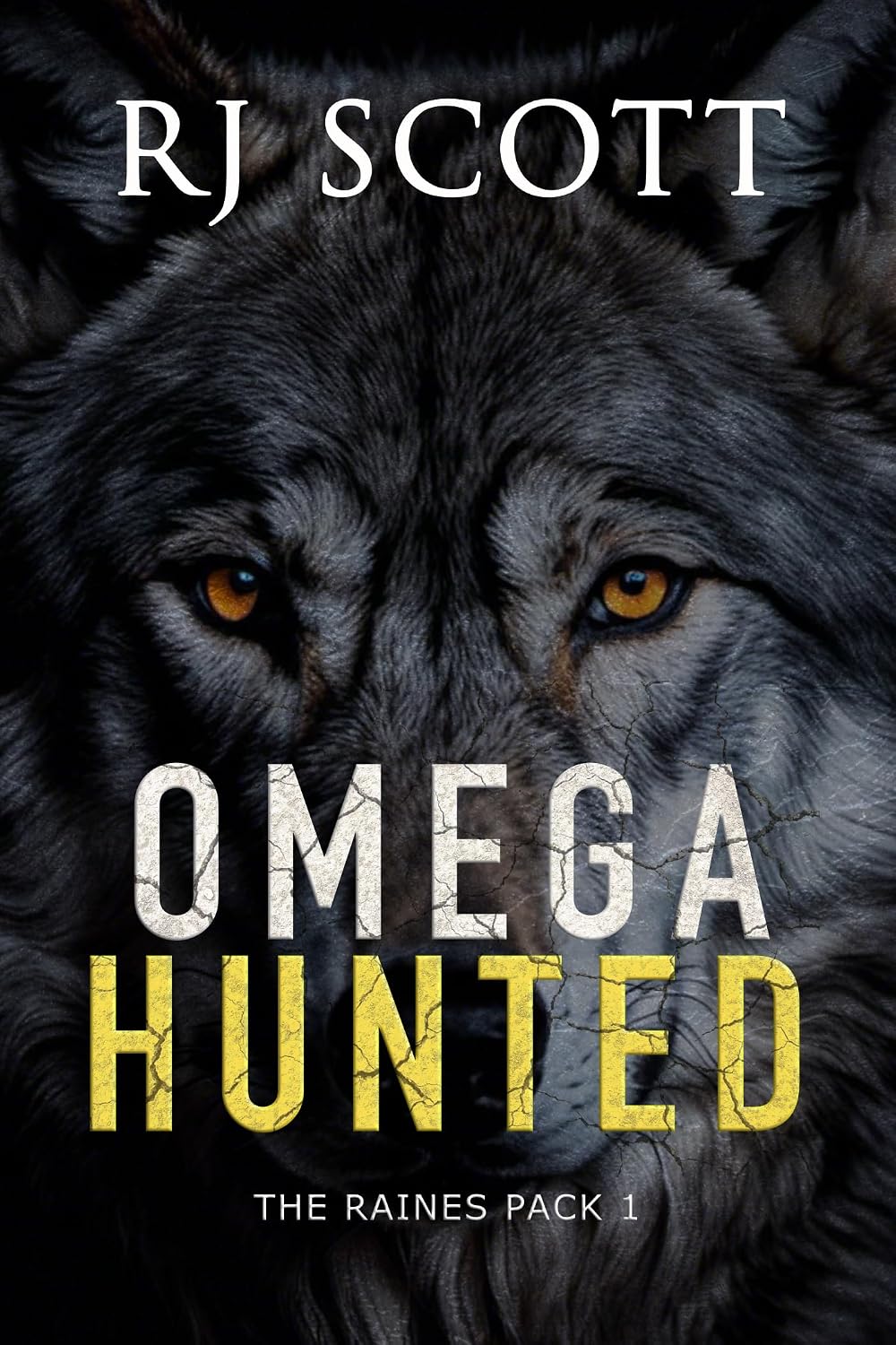 Omega Hunted (The Raines Pack Book 1) (English Edition) baixar o livro de graça