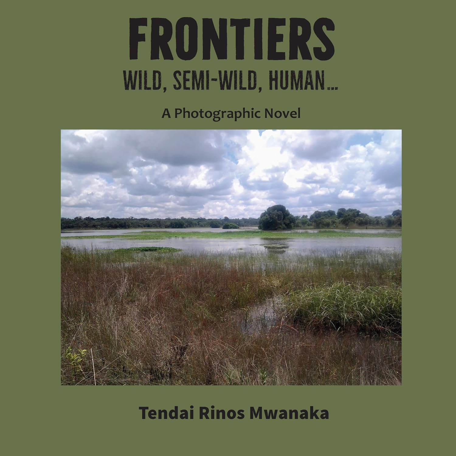 ler totalmente Frontiers (English Edition)