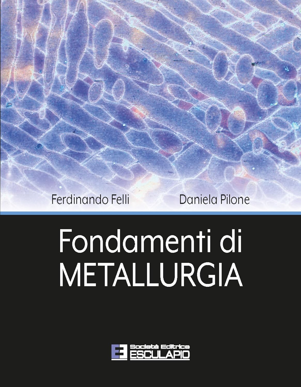 capítulo por capítulo baixar Fondamenti di Metallurgia (Italian Edition)