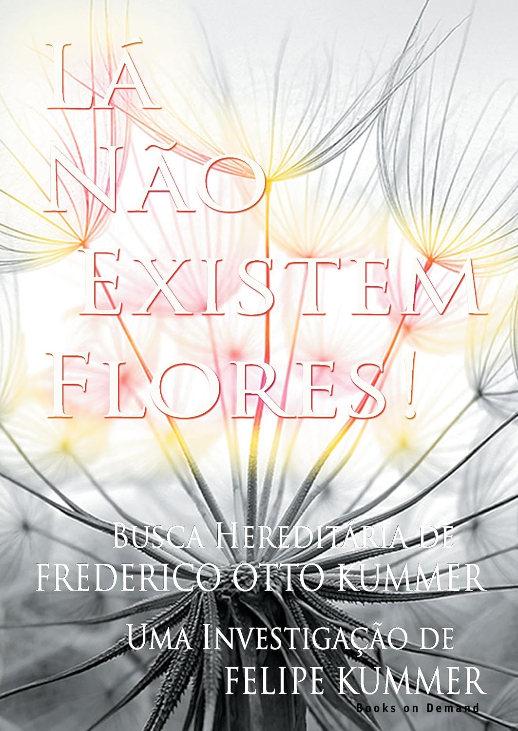 Lá não existem flores: Busca hereditária de Frederico Otto Kummer baixar livro de graça