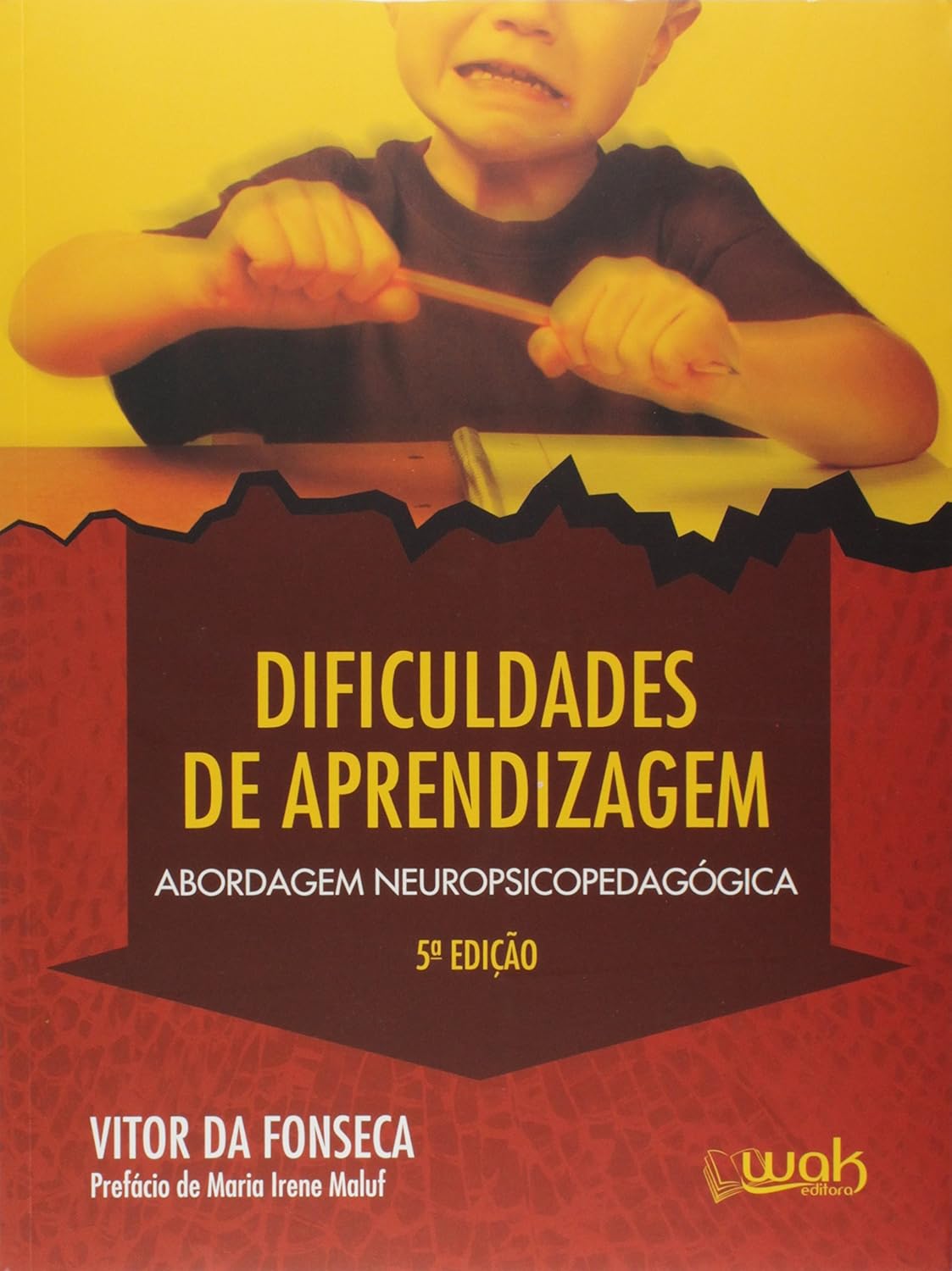 Dificuldades de Aprendizagem - Abordagem Neuropsicopedagógica