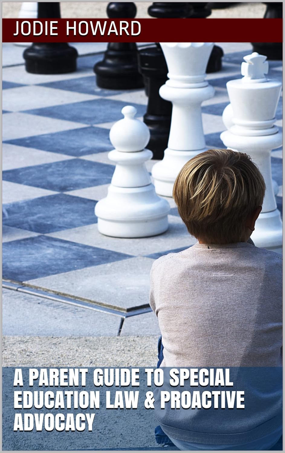 ler totalmente A Parent Guide To Special Education Law & Proactive Advocacy (English Edition)