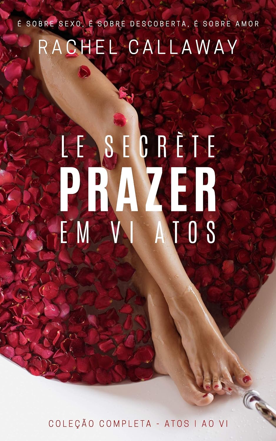 Le Secrète - Prazer em VI Atos: Coleção Completa - Atos I ao VI baixar livro de graça