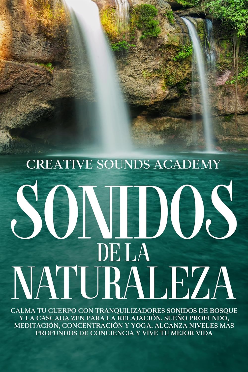 Sonidos de la naturaleza: calma tu cuerpo con tranquilizadores sonidos de bosque y la cascada zen para la relajación, sueño profundo, meditación, concentración... (Restful Rhythms nº 9) (Spanish Edition) baixar o livro de graça