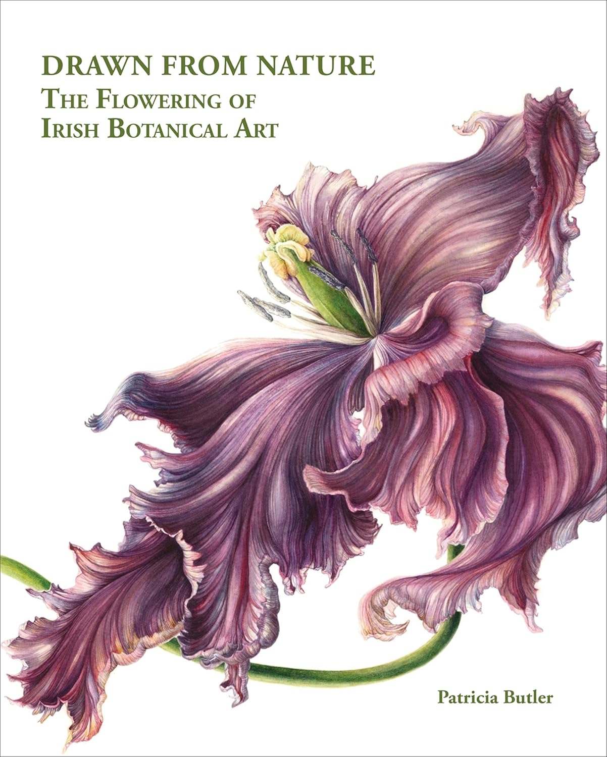capítulo por capítulo baixar Drawn from Nature: The Flowering of Irish Botanical Art