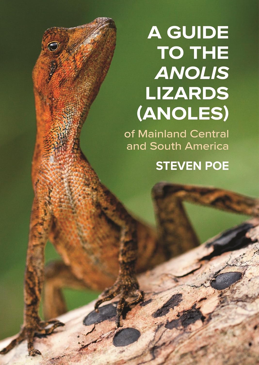A Guide to the Anolis Lizards (Anoles) of Mainland Central and South America baixar o livro de graça