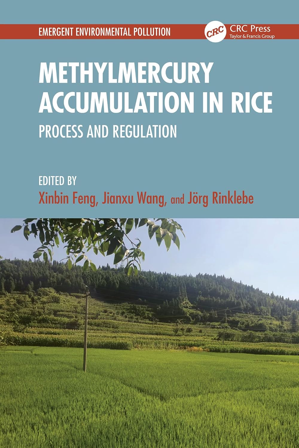 ler totalmente Methylmercury Accumulation in Rice: Process and Regulation (Emergent Environmental Pollution) (English Edition)