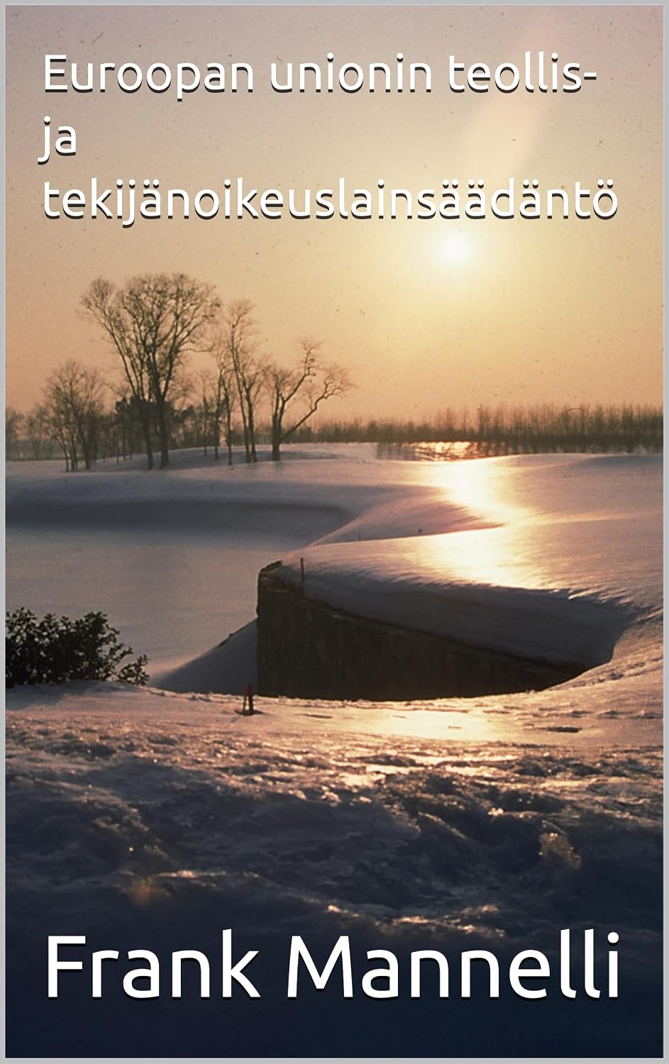 Euroopan unionin teollis- ja tekijänoikeuslainsäädäntö (Finnish Edition) baixar o livro de graça