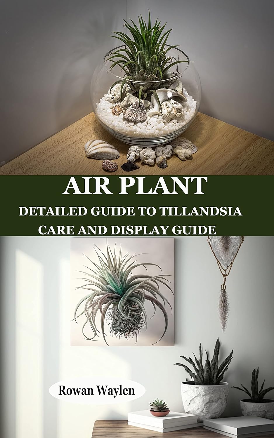 AIR PLANT: Detailed Guide to Tillandsia Care and Display Guide (English Edition) baixar livro de graça
