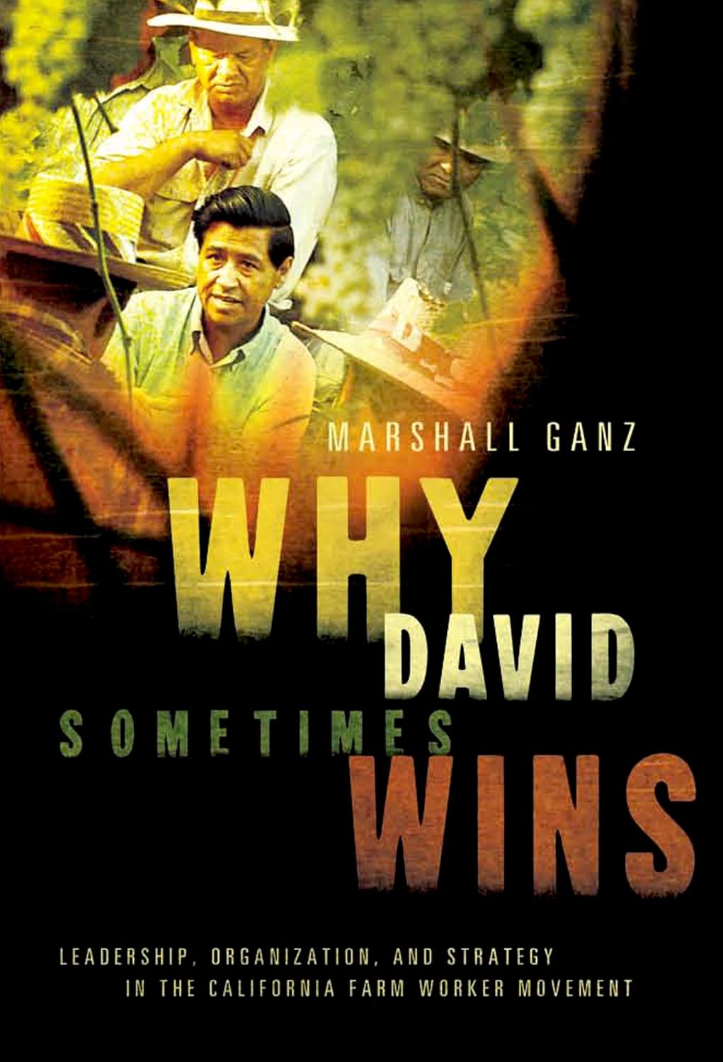 ler totalmente Why David Sometimes Wins: Leadership, Organization, and Strategy in the California Farm Worker Movement (English Edition)