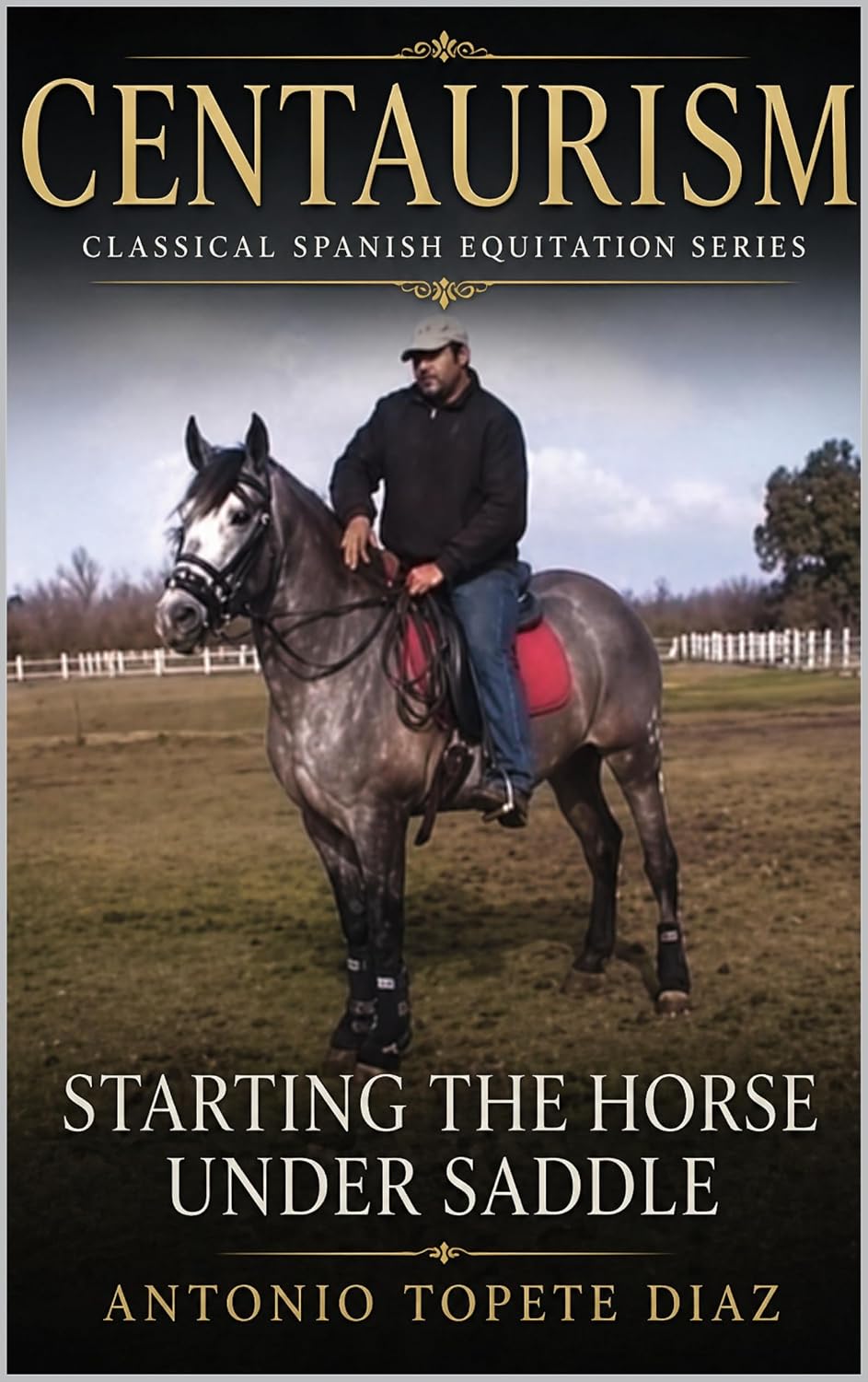 Centaurism: Starting the Horse Under Saddle: Classical Spanish Equitation Series - Book IV (Centaurism - Classical Spanish Equitation 4) (English Edition) baixar o livro de graça