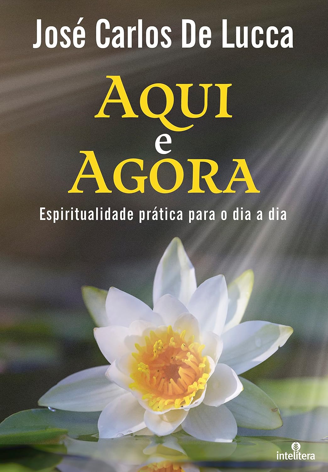 Aqui e agora: Espiritualidade prática para o dia a dia baixar o livro de graça