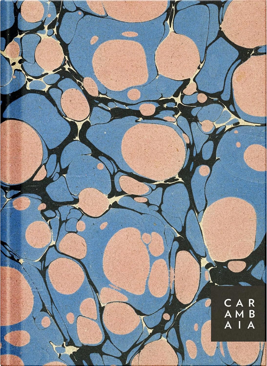 Aforismos – Escritores e seu ofício: Planner – Modelo 1 baixar livro de graça