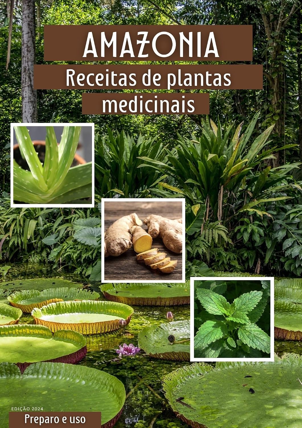 Receitas de Plantas medicinais: Ebook com várias receitas de plantas medicinais amazonicas e como prepará-las de maneiras seguras. baixar o livro de graça
