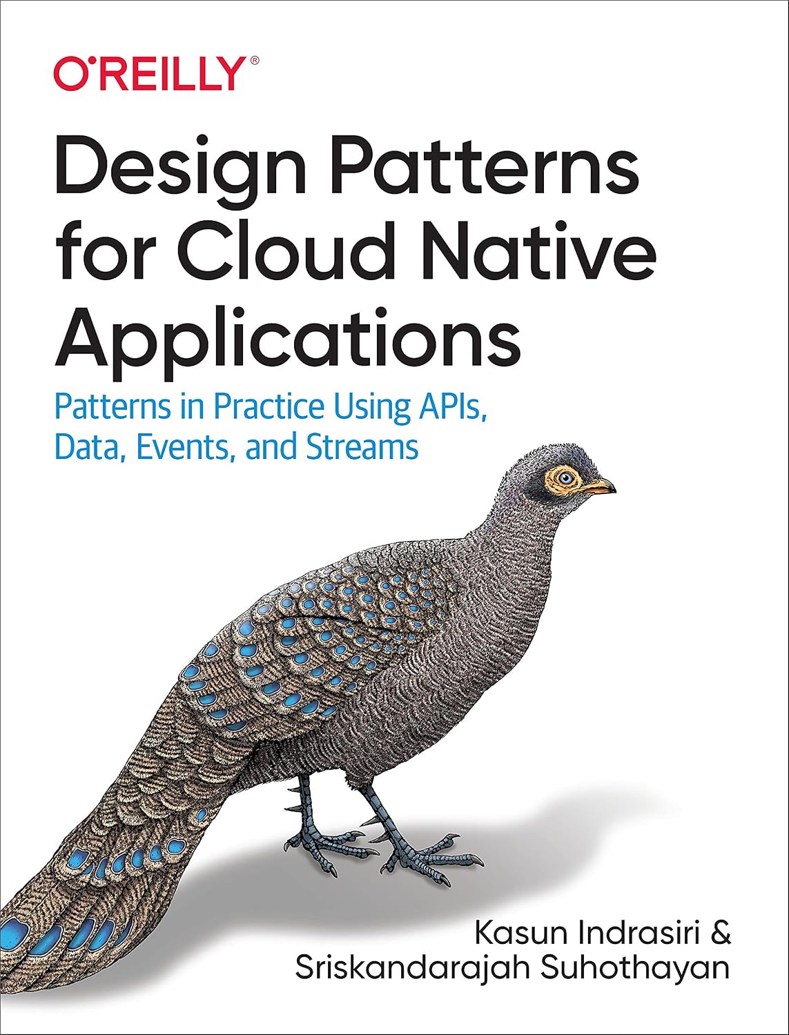 Design Patterns for Cloud Native Applications: Patterns in Practice Using APIs, Data, Events, and Streams