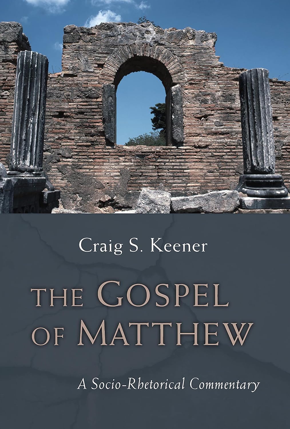 capítulo por capítulo baixar The Gospel of Matthew: A Socio-Rhetorical Commentary