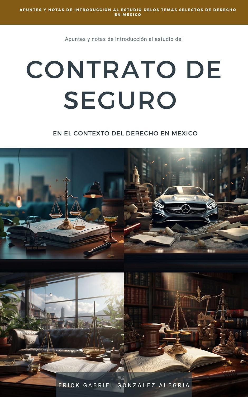 capítulo por capítulo baixar Apuntes y Notas de Introducción al Estudio del CONTRATO DE SEGURO EN MÉXICO ("Apuntes y Notas de Introducción al Estudio de LOS TEMAS SELECTOS DE DERECHO EN MÉXICO") (Spanish Edition)