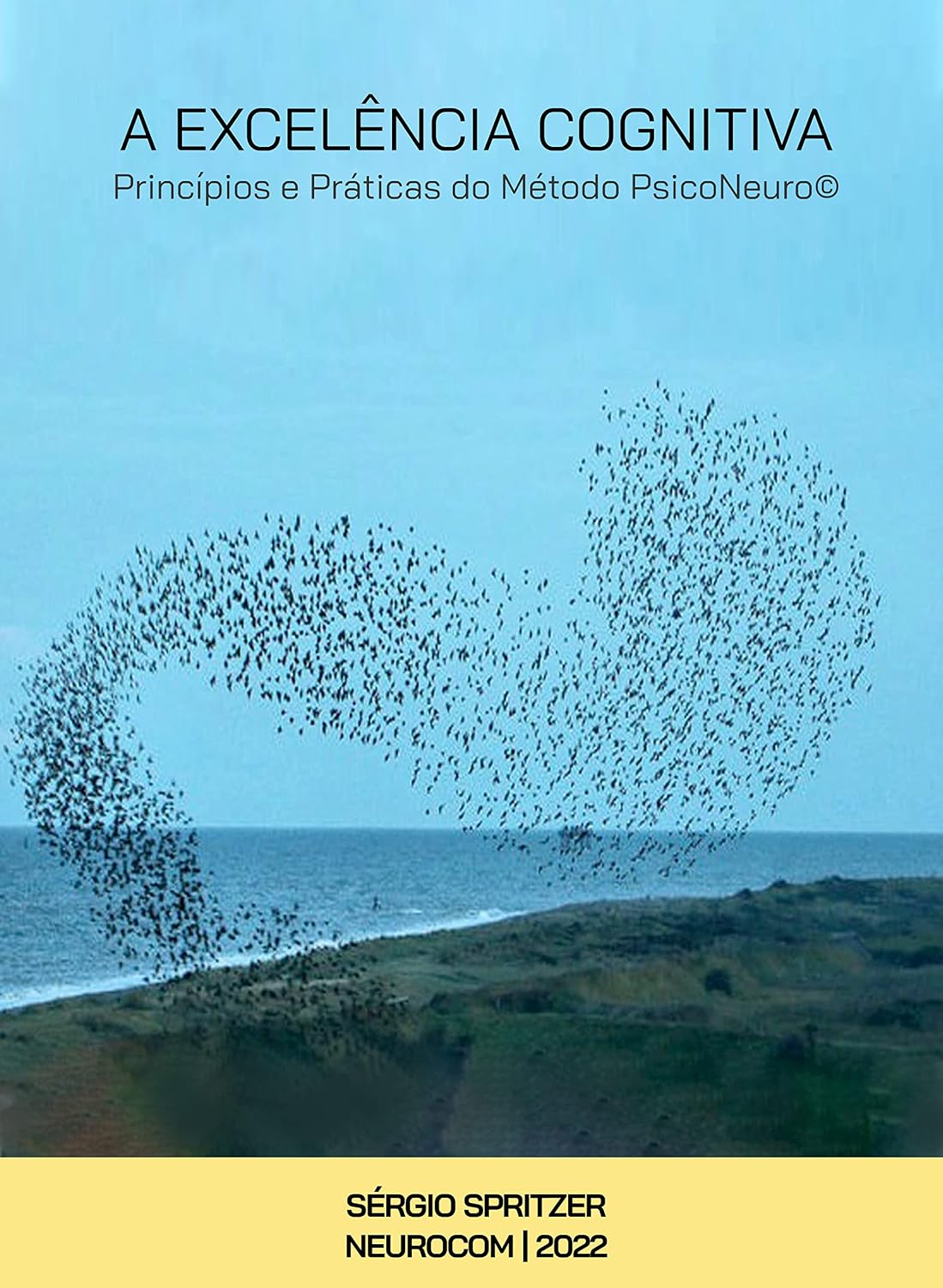 A Excelência Cognitiva.: Princípios e Práticas do Método PsicoNeuro. baixar livro de graça