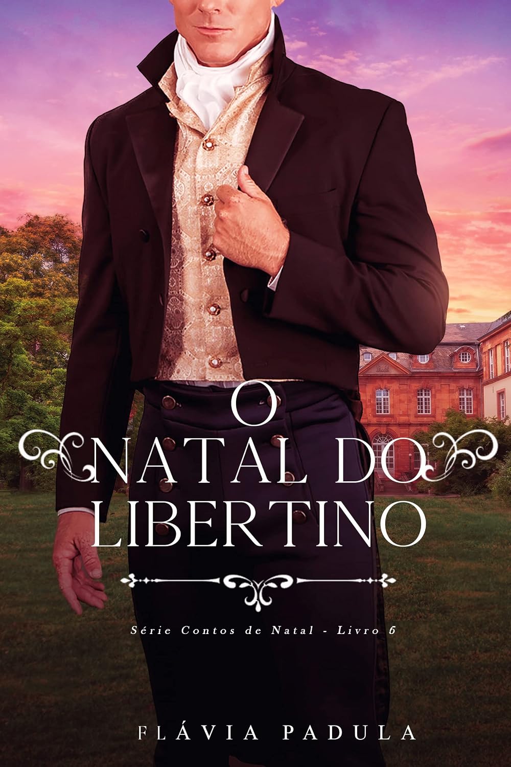 O Natal do Libertino (CONTOS DE NATAL Livro 6) baixar livro de graça