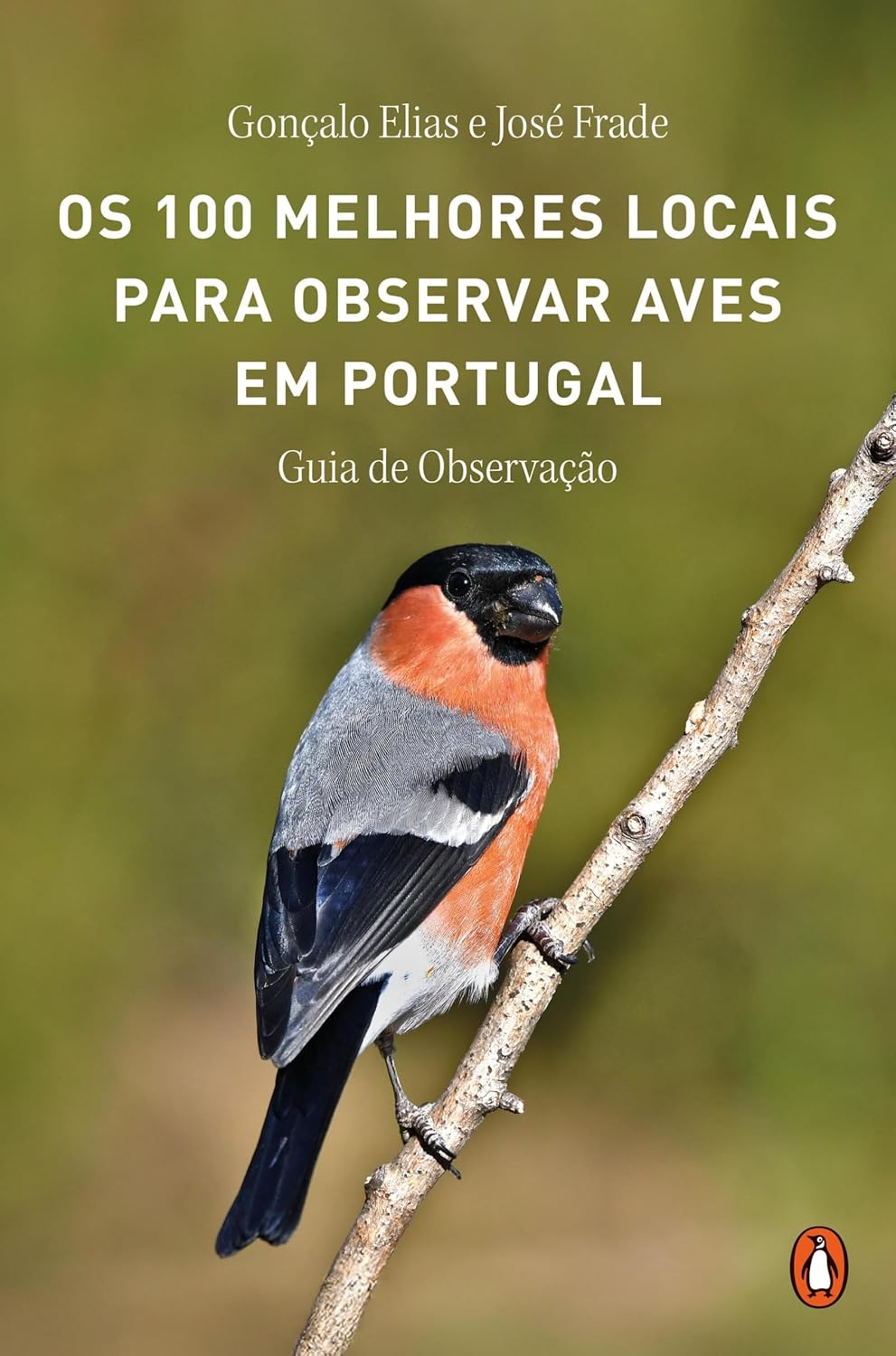 Os 100 melhores locais para observar aves em Portugal baixar o livro de graça