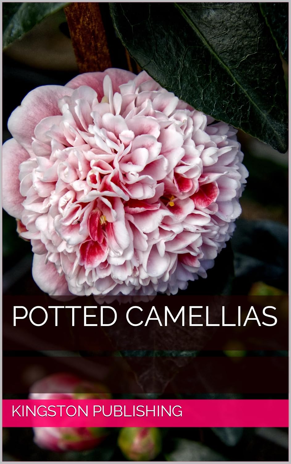 capítulo por capítulo baixar Potted Camellias (Growing Fresh Flowers) (English Edition)