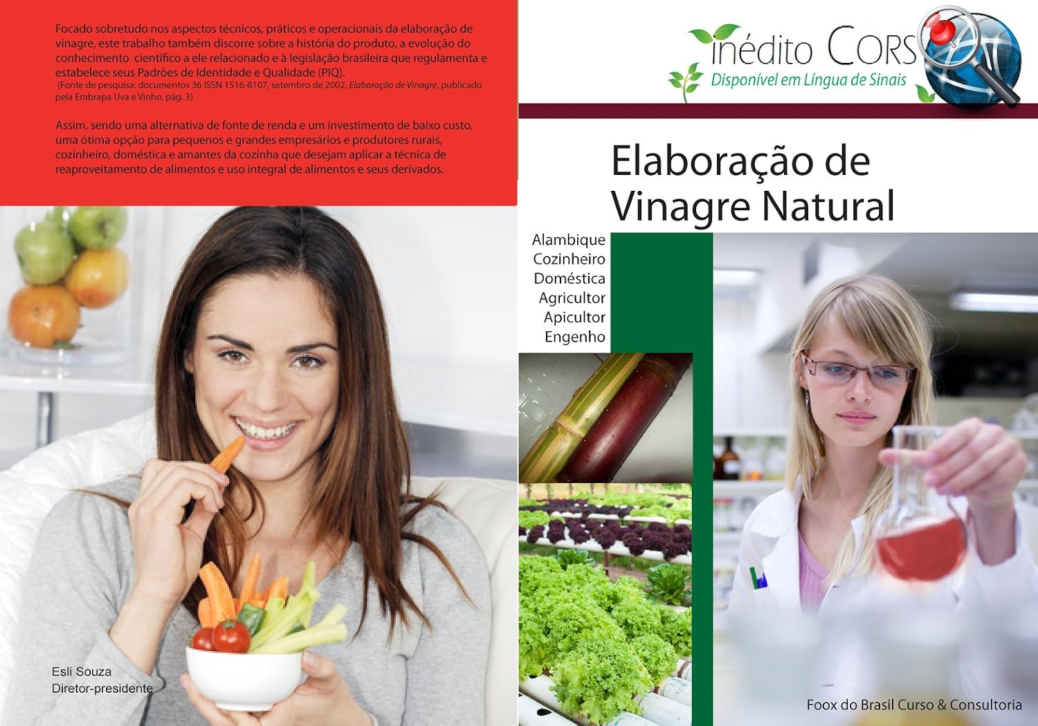 Inédito curso elaboração de vinagre natural baixar livro de graça