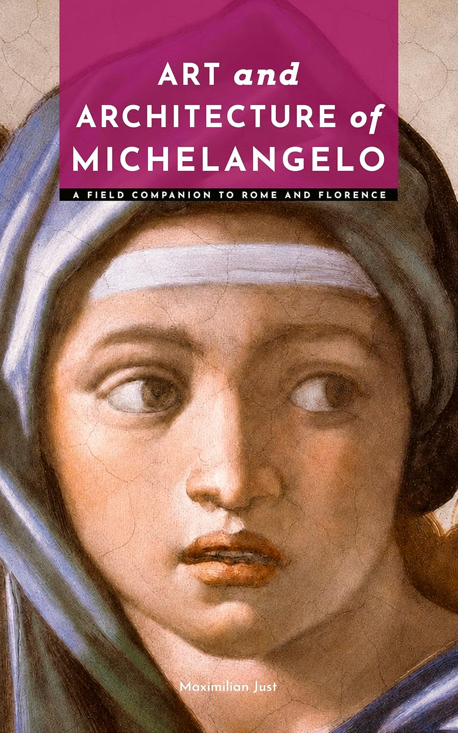 capítulo por capítulo baixar Art and Architecture of Michelangelo: A Field Companion to Rome and Florence (Masters of Architecture: The Essential Collection) (English Edition)