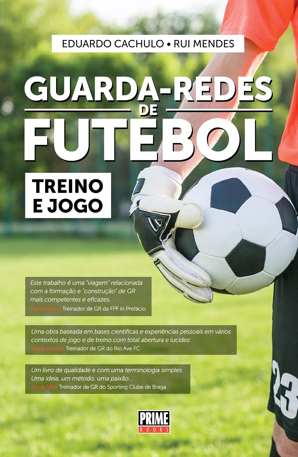 Guarda-Redes de Futebol - Treino e Jogo baixar o livro de graça