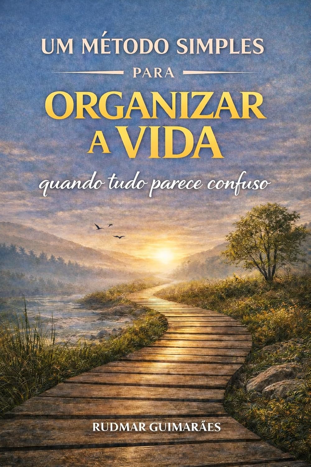 Um método simples para organizar a vida quando tudo parece confuso: Como organizar a vida no caos baixar o livro de graça