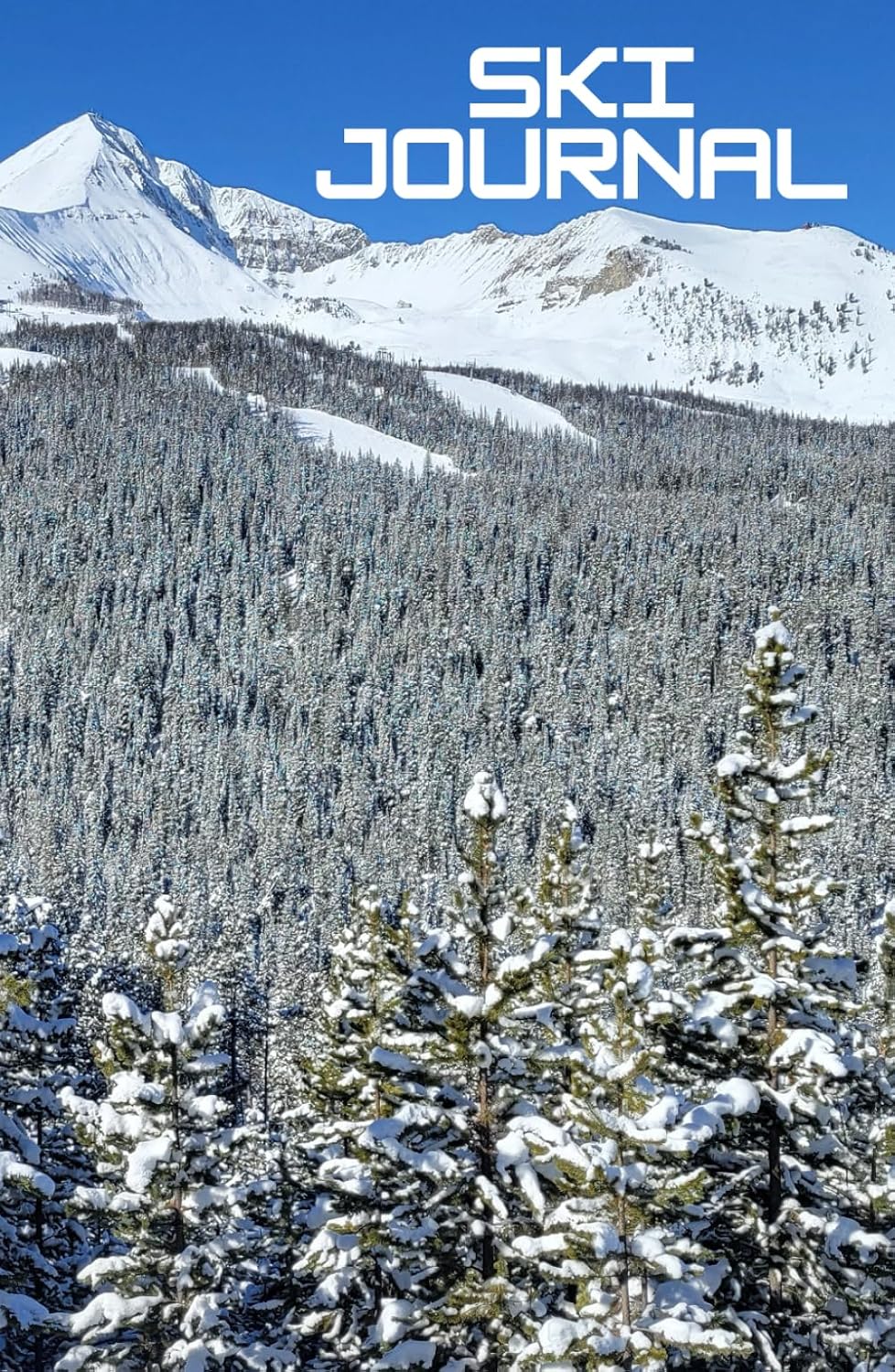 Ski Journal: A logbook for beginner, intermediate, and experienced skiers
