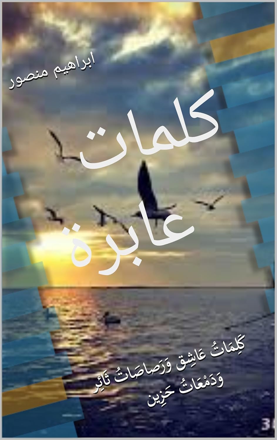 كلمات عابرة: كَلِمَاتُ عَاشِق وَرَصاصَاتُ ثَائِر وَدَمْعَاتُ حَزِين (شعر) (Arabic Edition) baixar o livro de graça