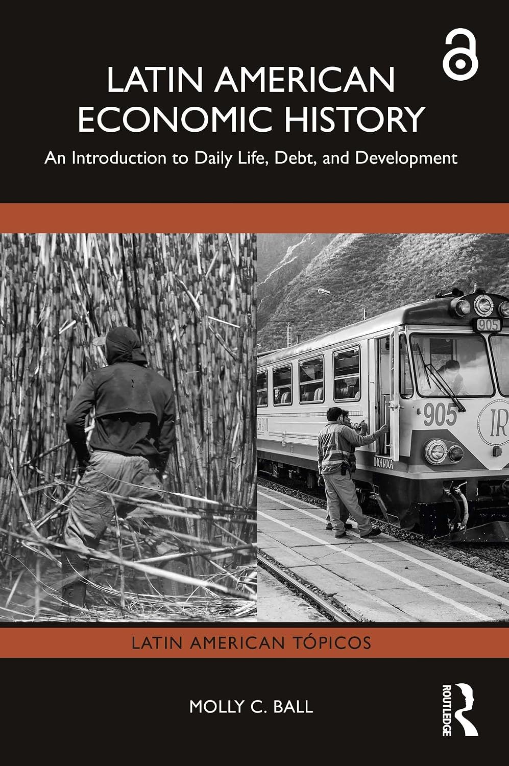 Latin American Economic History: An Introduction to Daily Life, Debt, and Development (Latin American Tópicos) (English Edition) baixar livro de graça