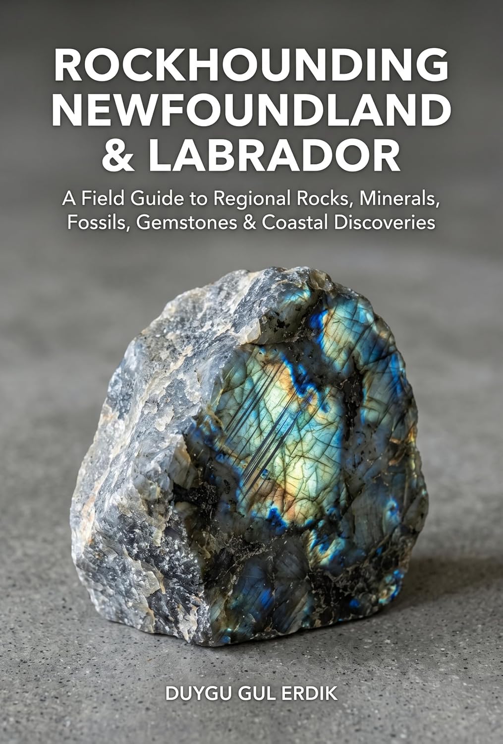 ler totalmente ROCKHOUNDING NEWFOUNDLAND & LABRADOR: A Field Guide to Regional Rocks, Minerals, Fossils, Gemstones & Coastal Discoveries (The Regional Rockhounding & Mineral Discovery Series) (English Edition)