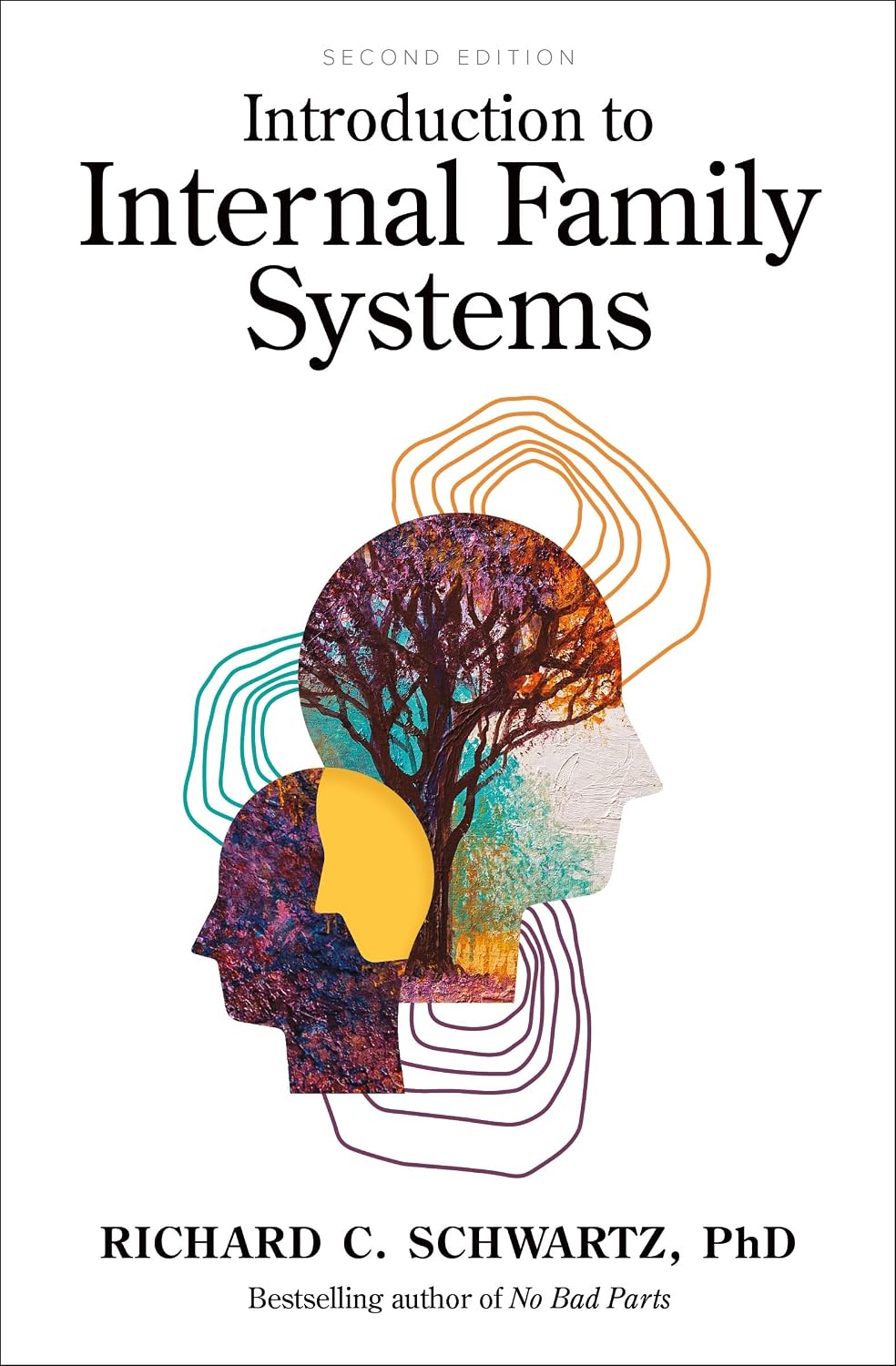Introduction to Internal Family Systems baixar o livro de graça