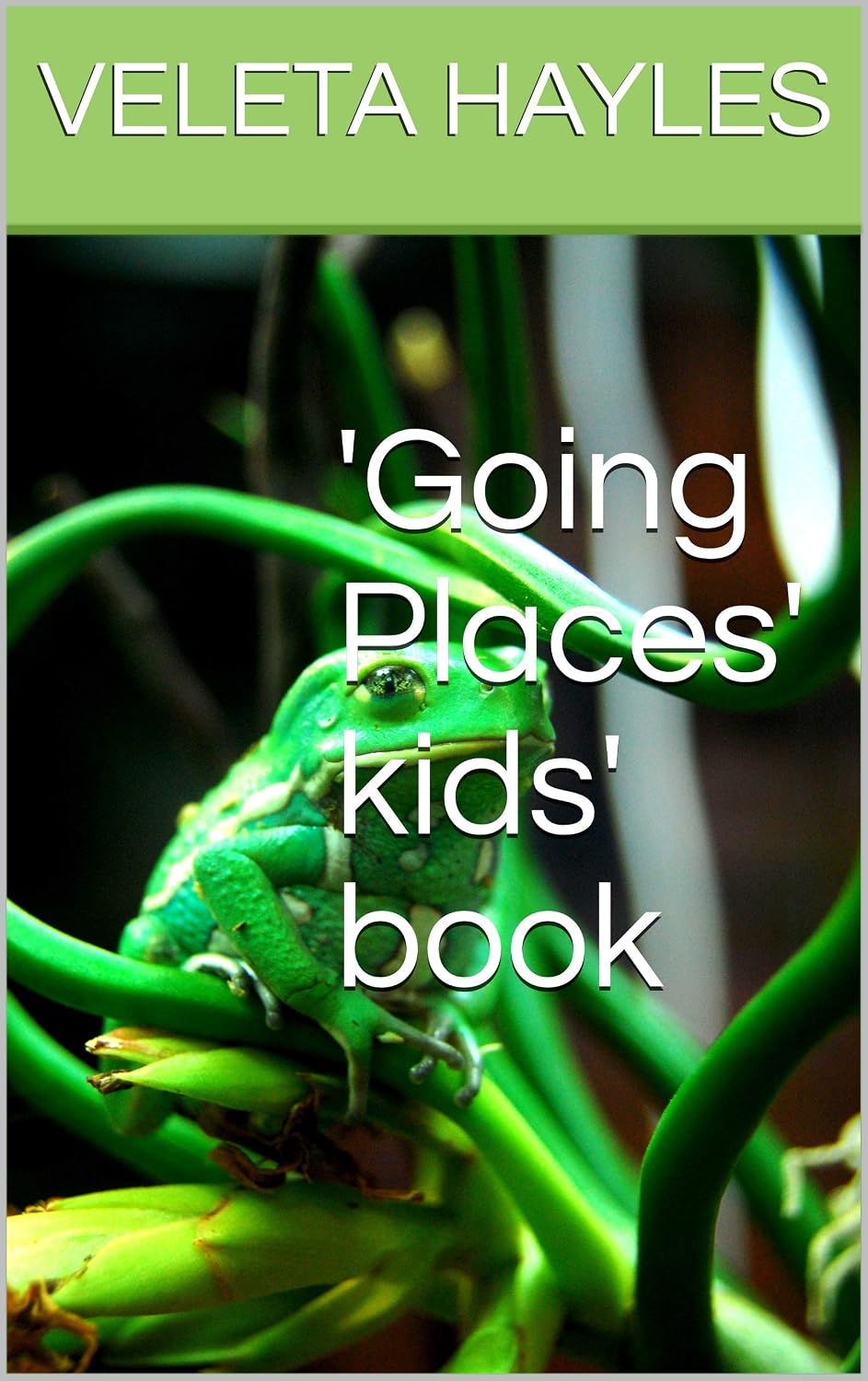 'Going Places' kids' book (English Edition) baixar o livro de graça