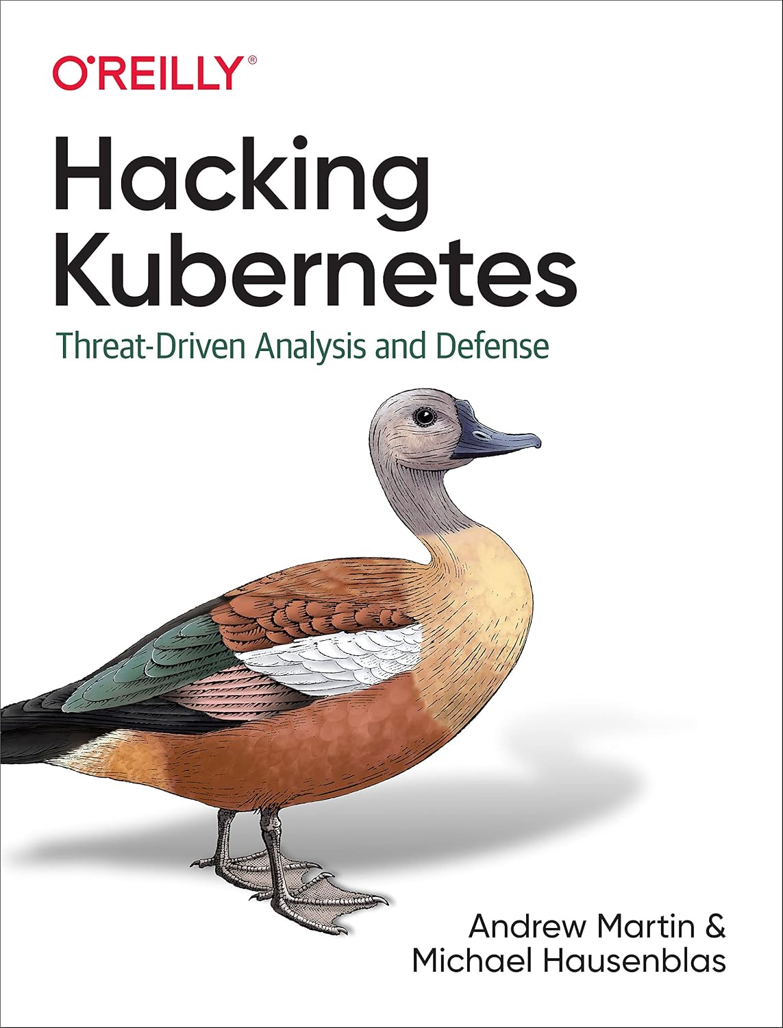 Hacking Kubernetes: Threat-Driven Analysis and Defense baixar o livro de graça
