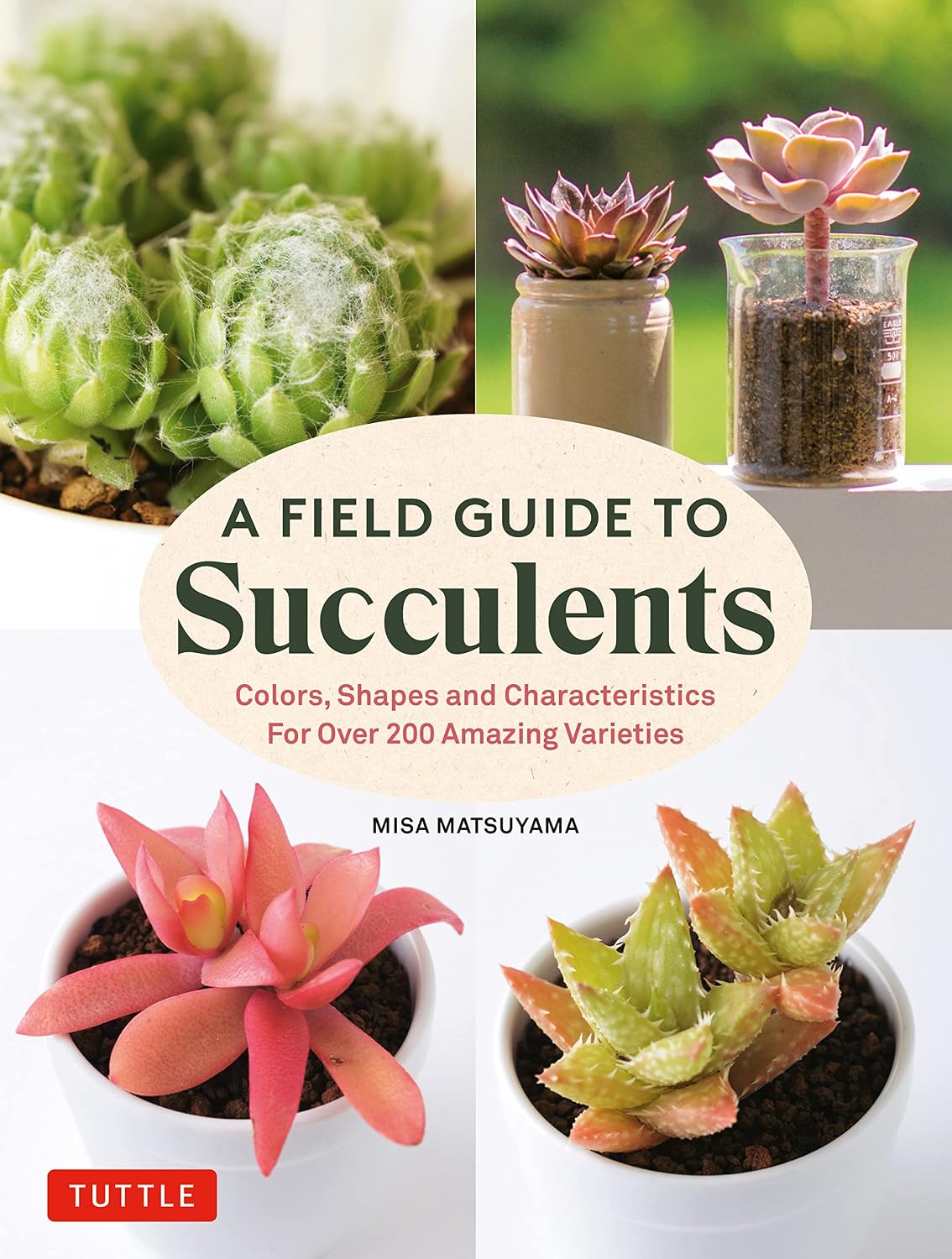 ler totalmente Field Guide to Succulents: Colors, Shapes and Characteristics for Over 200 Amazing Varieties (English Edition)
