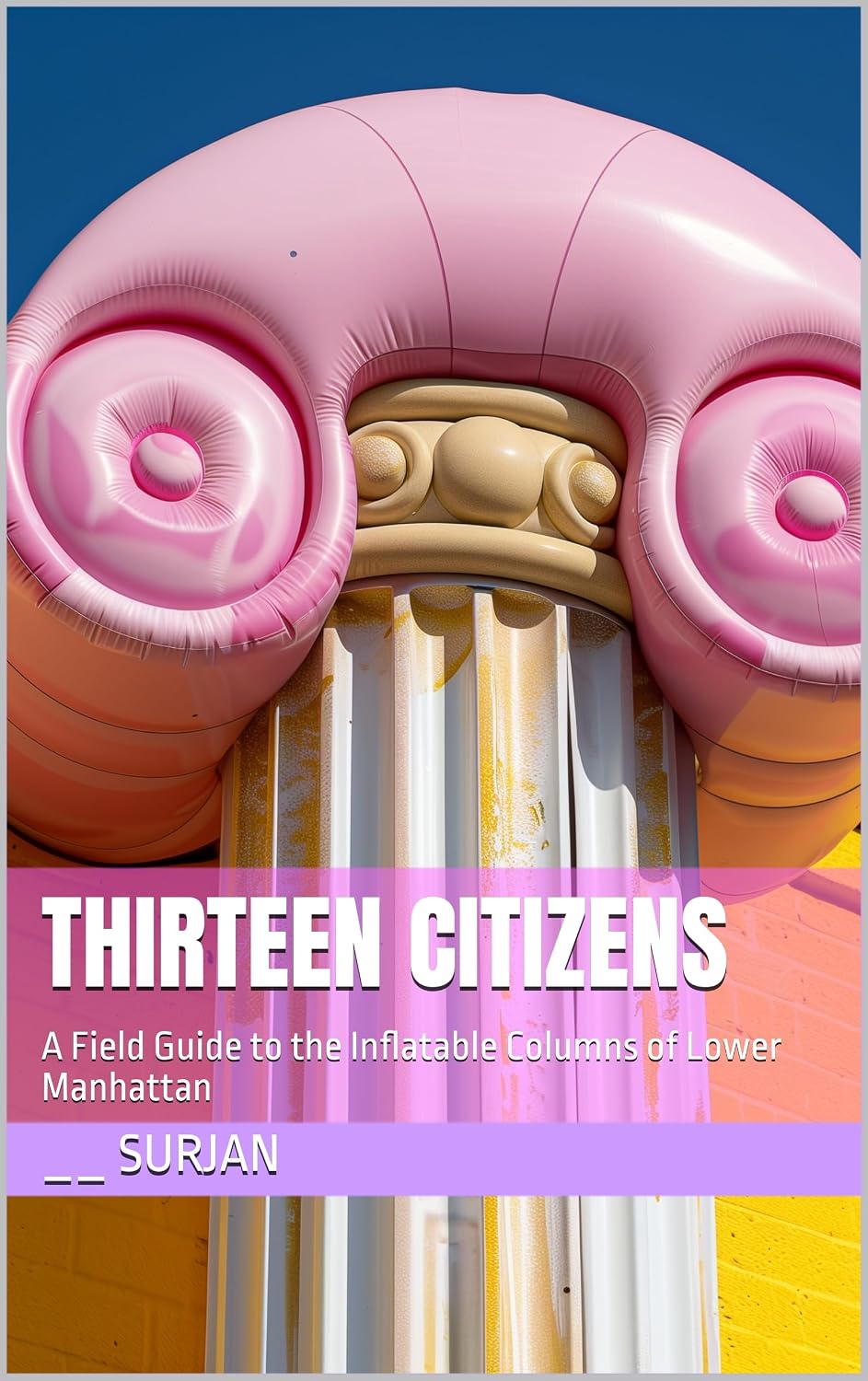 THIRTEEN CITIZENS: A Field Guide to the Inflatable Columns of Lower Manhattan (RADICAL JOY Book 12) (English Edition) baixar o livro de graça
